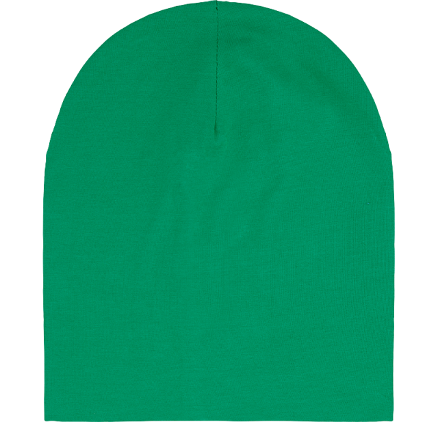 Beanie Hat Green 2