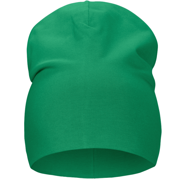 Beanie Hat Green 1