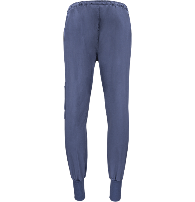 Dion Easy Pants Blue 4