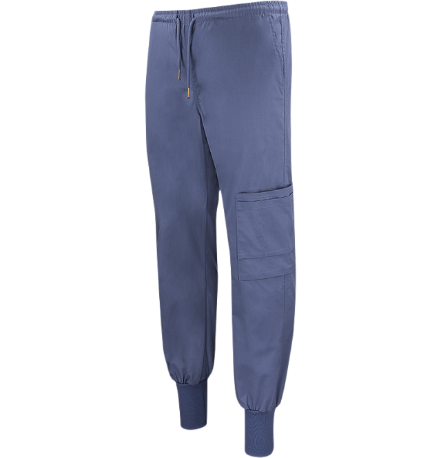 Dion Easy Pants Blue 2