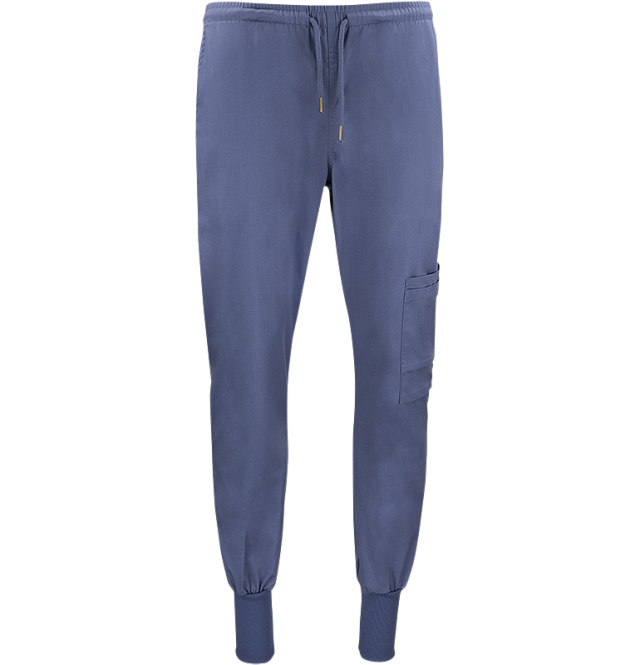 Dion Easy Pants Blue 1