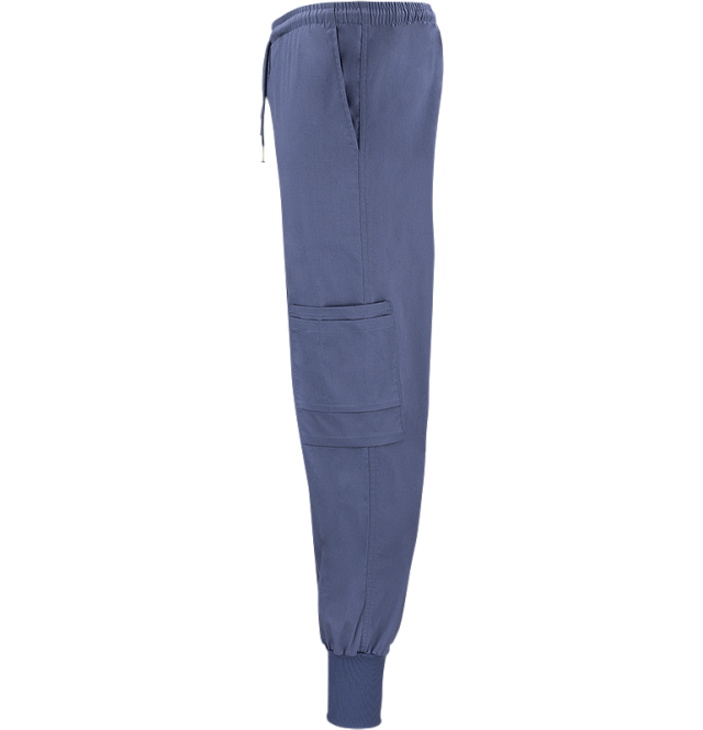 Dion Easy Pants Blue 3