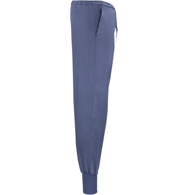 Dion Easy Pants Blue 5